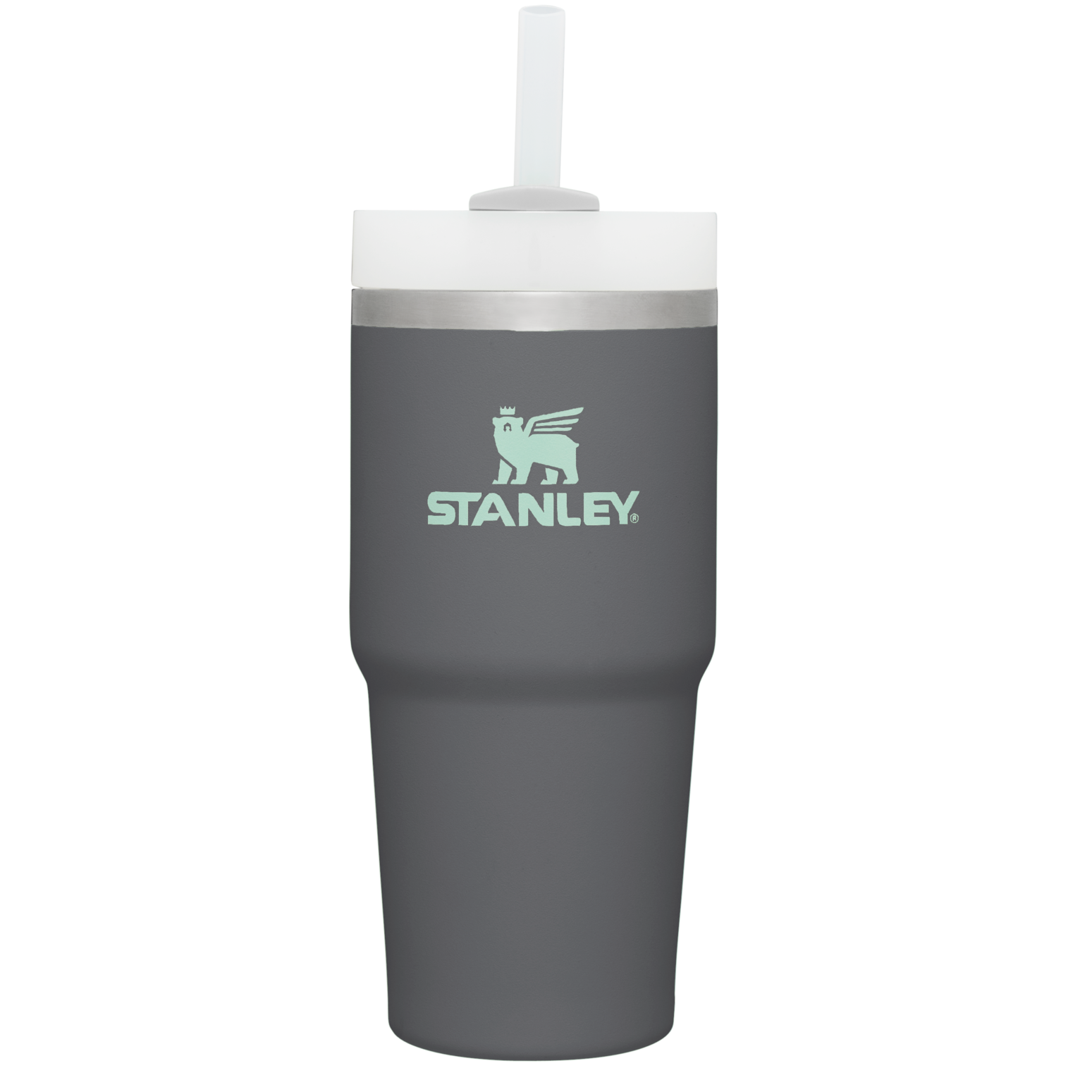 The Quencher H2.0 FlowState™ Tumbler  | 14 OZ - Stanley Create